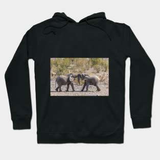 Namibia. Etosha National Park. Young Elephants Fighting. Hoodie